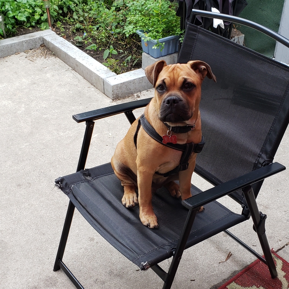 Meet your Posher, Tammy